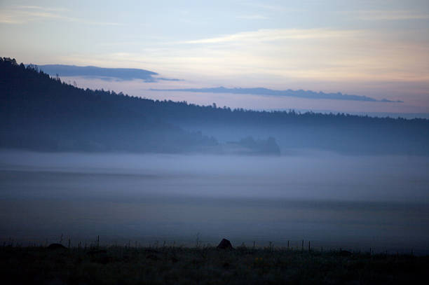 Misty Morning stock photo