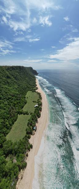 istock The Beaches and Cliffs of Uluwatu Bali 1443261968