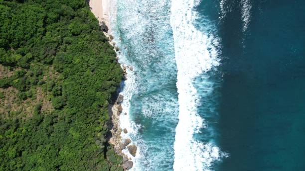 istock The Beaches and Cliffs of Uluwatu Bali 1443262055