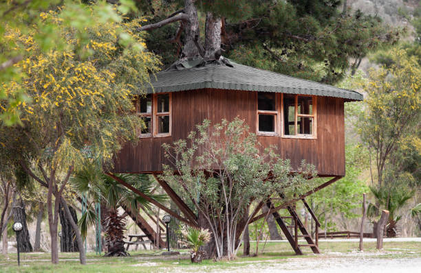 Watchtower with a thatched roof. Wooden observation tower.