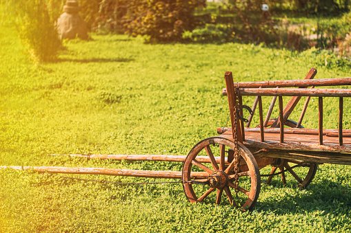 Gardening And Housekeeping. Vintage Cart On Summer Sunny Day. Decorative Peasant Cart On Summer Lawn. Bright Sunny Day. Garden Decoration Concept. Garden Wagon. Copy Space.