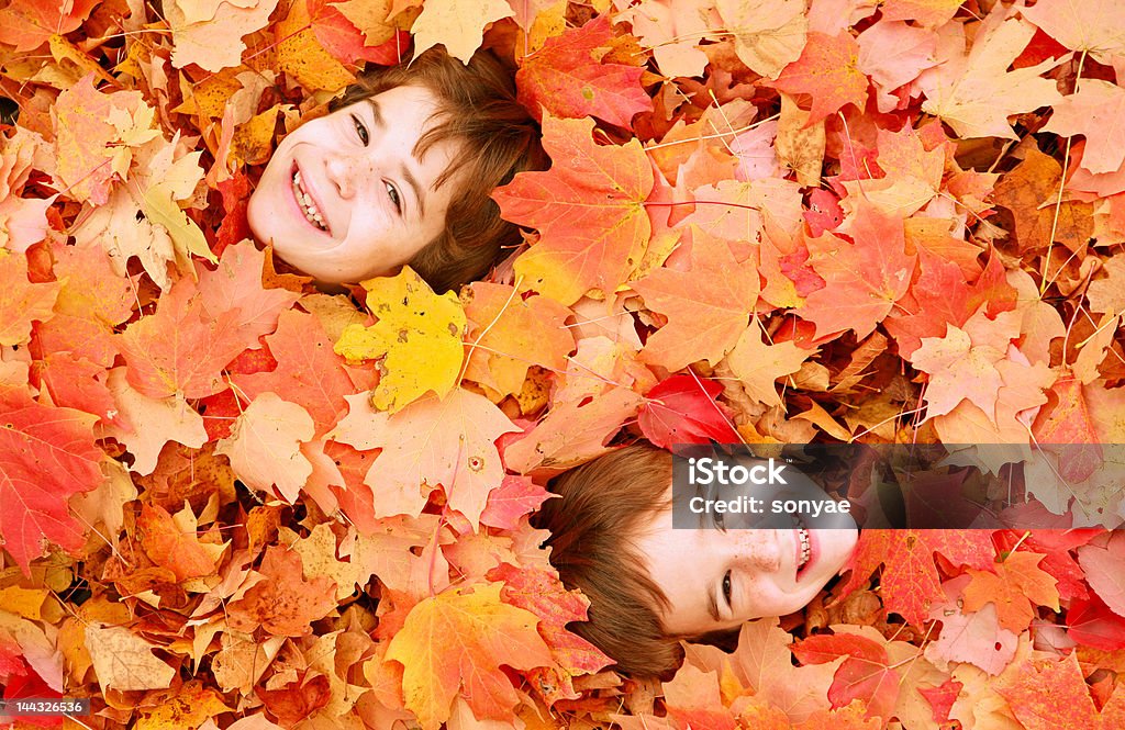 Autumn Faces Two Little Boys Faces Buried in Colorful Fall Leaves American Culture Stock Photo