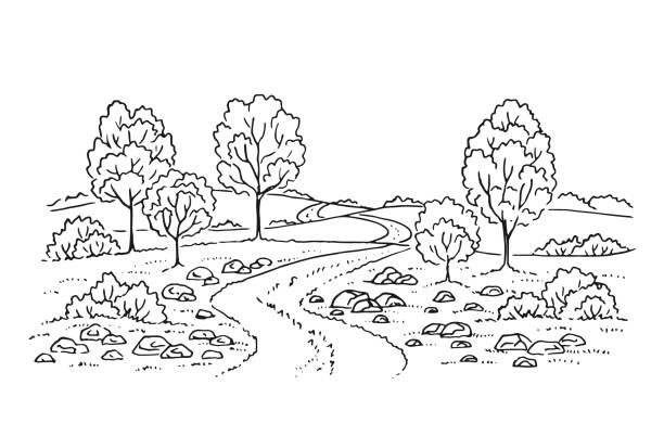 ilustraciones, imágenes clip art, dibujos animados e iconos de stock de paisaje rural con carretera y árbol. ilustración dibujada a mano convertida en vectorial. - bolígrafo y marcador