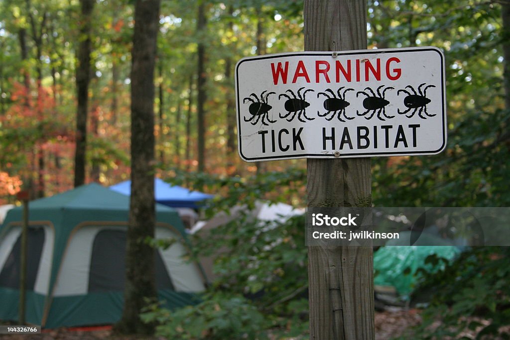 Tick Habitat - Hazards of Camping a sign warns about tick habitat at a campground, with camping tents in the background in the midst of sunlit, colorful forest. Tick - Animal Stock Photo