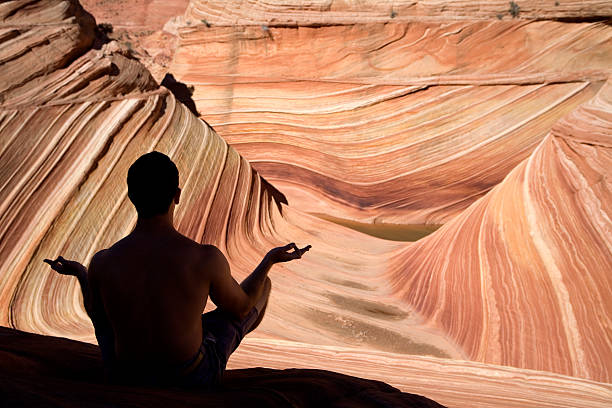Rear view of a man doing yoga overlooking a canyon A young healthy man practices yoga in the middle of nature. focus is on the man the wave arizona stock pictures, royalty-free photos & images