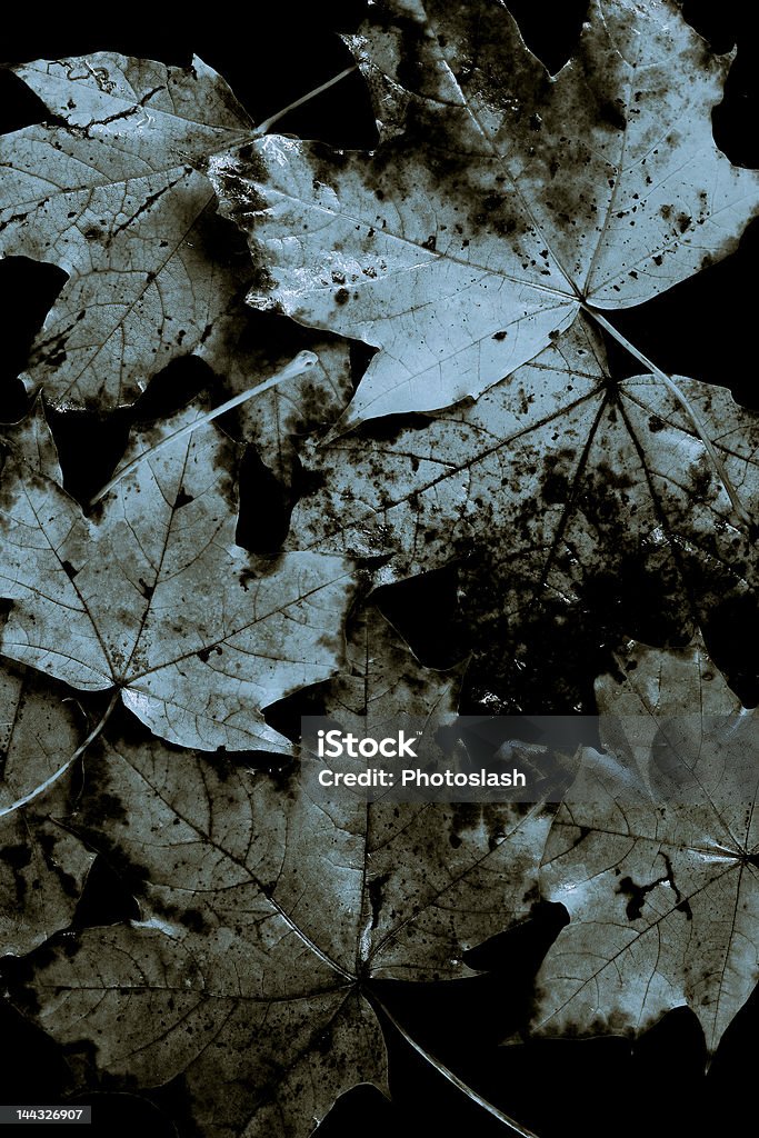 Grab Blätter - Lizenzfrei Abstrakt Stock-Foto