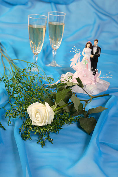 bonecos, bolo de casamento rosa e óculos sobre azul - netting champagne wine drink imagens e fotografias de stock