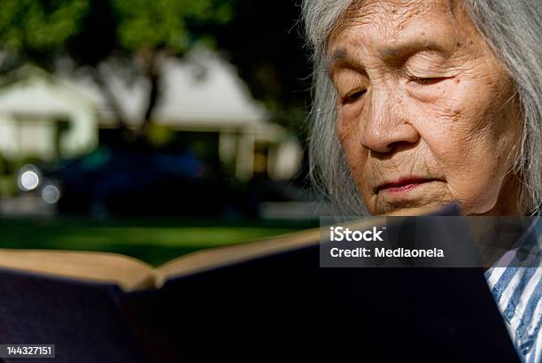 Grandma Engaged In Book People Series Stock Photo - Download Image Now - Activity, Adult, Adults Only