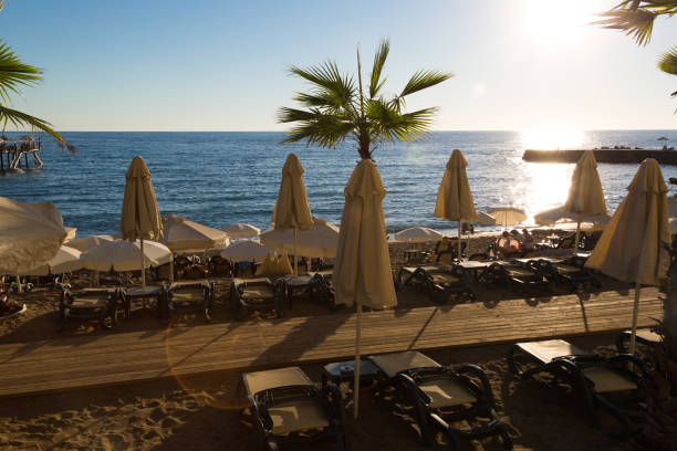 istock Sandy beach with umbrellas and sunbeds at sunset 1443272904