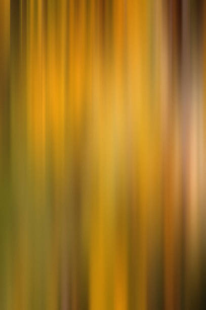 istock Autumn color abstract background 1443273767