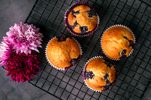 Homemade blueberry muffins on cooling rack and black background