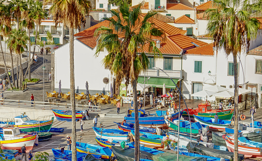 Camara de Lobos, Madeira island, Portugal - Colorful fishing boats in the harbor of the pretty fishing village surrounded by cottages and palm trees