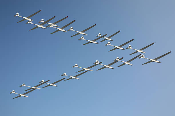 Gliders Heading South stock photo