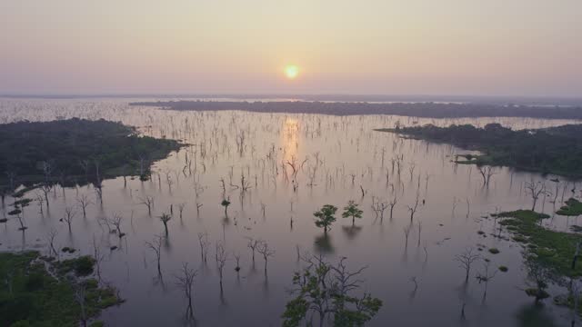 sunset over a swamp in the jungle