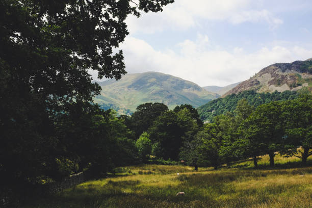 istock Ullswater, Lake District, Cumbria 1443281518