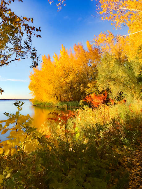 istock Perfect autumn colours 1443283846