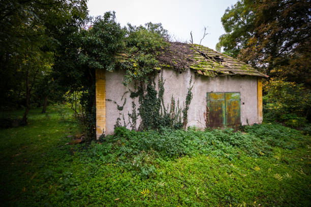 Ruined house