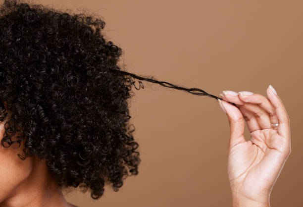 헤어 케어, 뷰티, 스튜디오에서 갈색 배경에 곱슬머리를 한 흑인 여성 손. 미용실, 웰빙 및 성장, 자연스럽고 건강한 모발을 위한 컬 마케팅 헤어 트리트먼트 제품을 들고 있는 소녀 - 곱슬 머리 뉴스 사진 이미지