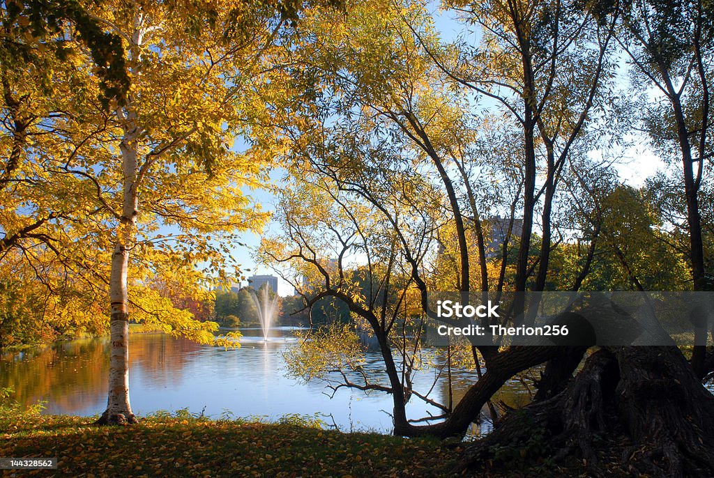 Boston Esplanada fonte e folhagem - Royalty-free Amarelo Foto de stock