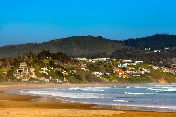 istock Cachagua in Chilean central coast. 1443285624