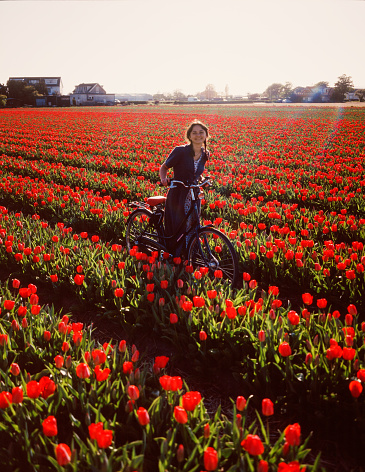 Young Caucasian woman riding on bicycle on tulip field in the Netherlands