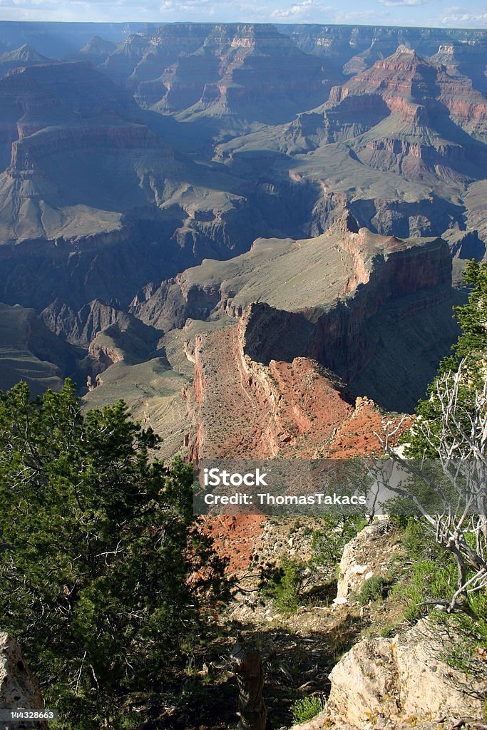 Grand Canyon 南リムからの眺め - アメリカ南西部のロイヤリティフリーストックフォト