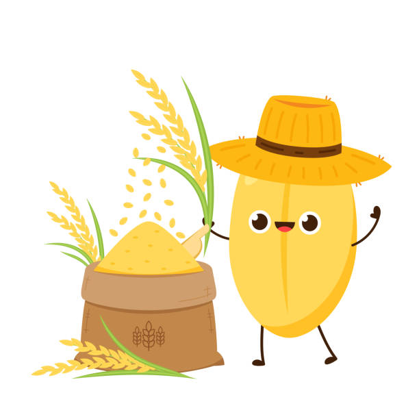 ライスのキャラクターデザイン。白い背景に米のベクター画像。米の種。農民の帽子のベクター画像。 - rice white rice backgrounds cereal plant点のイラスト素材／クリップアート素材／マンガ素材／アイコン素材