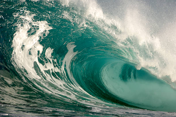 istock Close-up of breaking wave as it rolls onto itself 144328787