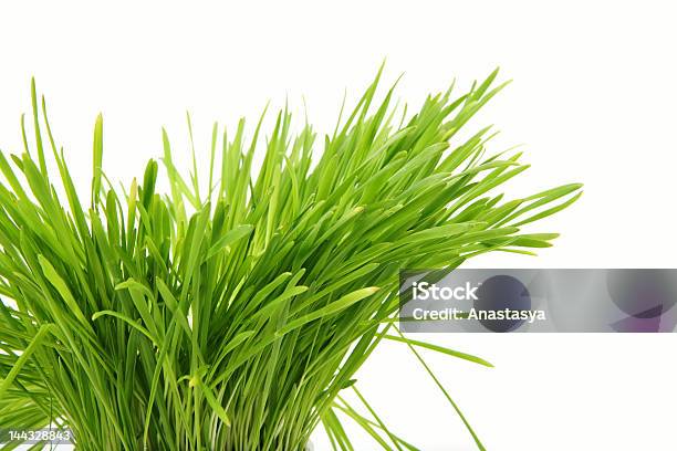 Healthy Grass Stock Photo - Download Image Now - Agricultural Field, Backgrounds, Blade of Grass