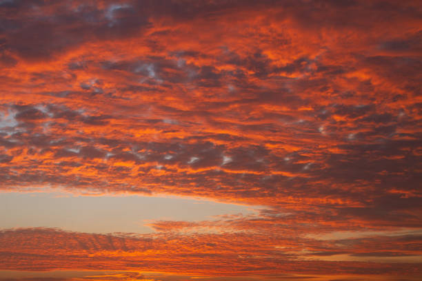 istock Colorful in sunrise 1443291139
