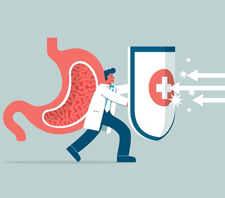 Tummy Protection Animation Human Stomach Protection Stock Illustration - Download Image Now ...