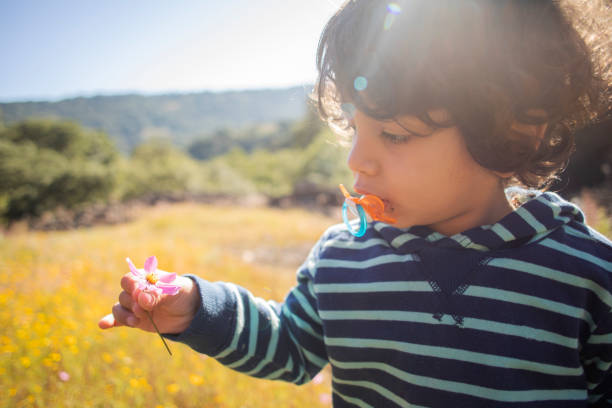 portrait of a small child