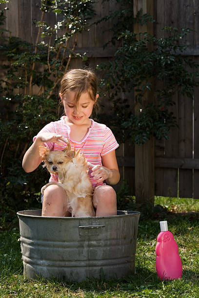 Puppy Bath Young girl sitting outside on the edge of an old tin tub giving her Pomeranian puppy a bath. pomeranian dog taking a bath stock pictures, royalty-free photos & images