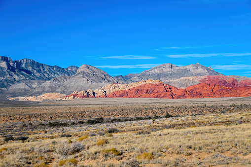 Wide angle across the vast field really shows the contrast of the red rocks that contain the minerals feldspar and quartz which comprise these iron rich sandstone sediments seen in the Red Rocks Park.