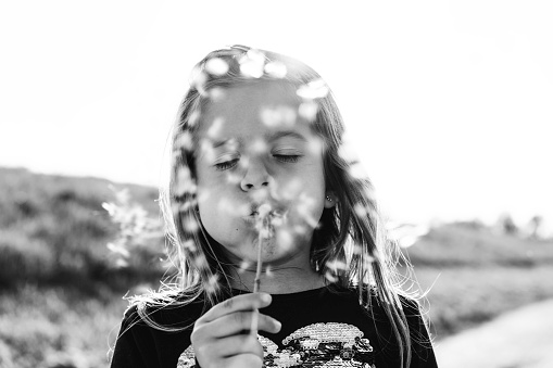 Cute little girl with dandelion flower in countryside during a spring sunny day - Female kid having fun and blowing the seeds of dandelion outdoors - Childhood concept - Black and white editing