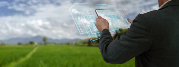 istock Businessman using smart tablet,organic rice field production control,concept agricultural product control technology,to future trading world market,track productivity,satellite for Agriculture 1443296396