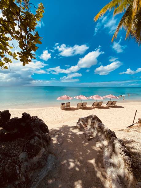 frente à praia de barbados - barbados - fotografias e filmes do acervo