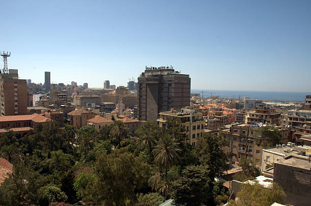 View over Beirut General view over Beirut, Lebanon, with palm and pine trees in the foreground. alintal stock pictures, royalty-free photos & images