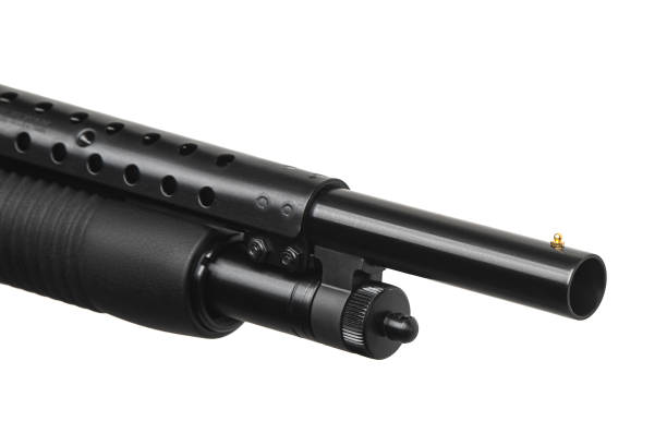 istock Pump-action 12 gauge shotgun isolated on a white background. A smooth-bore weapon with a wooden stock. 1443299743