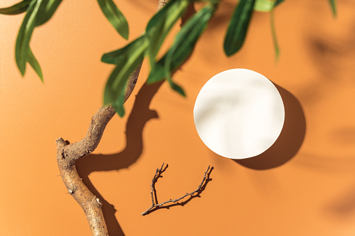 Empty white round mockup podium for product presentation on orange background with with branch and leaves. Trendy design flat lay with copy space. Top view.