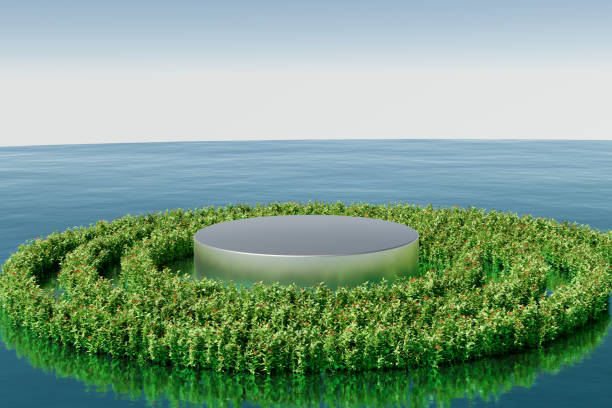 istock 3d render platform and Natural podium background on the sea with circle shape bush for product stand display advertising cosmetic beauty products or skincare with empty round stage 1443302213