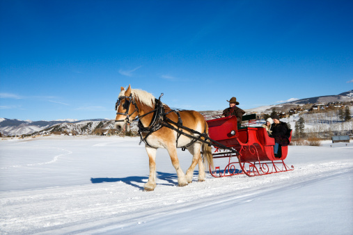 Young adult Caucasian couple and mid-adult man on horse-drawn sleigh ride through winter landscape.