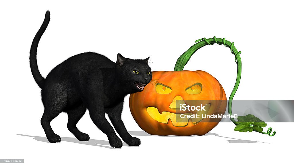 Black Cat, 펌프킨 - 로열티 프리 0명 스톡 사진