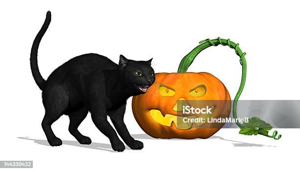 Czarny Kot Z Dyni - zdjęcia stockowe i więcej obrazów Bez ludzi - Bez ludzi, Białe tło, Czarny kolor