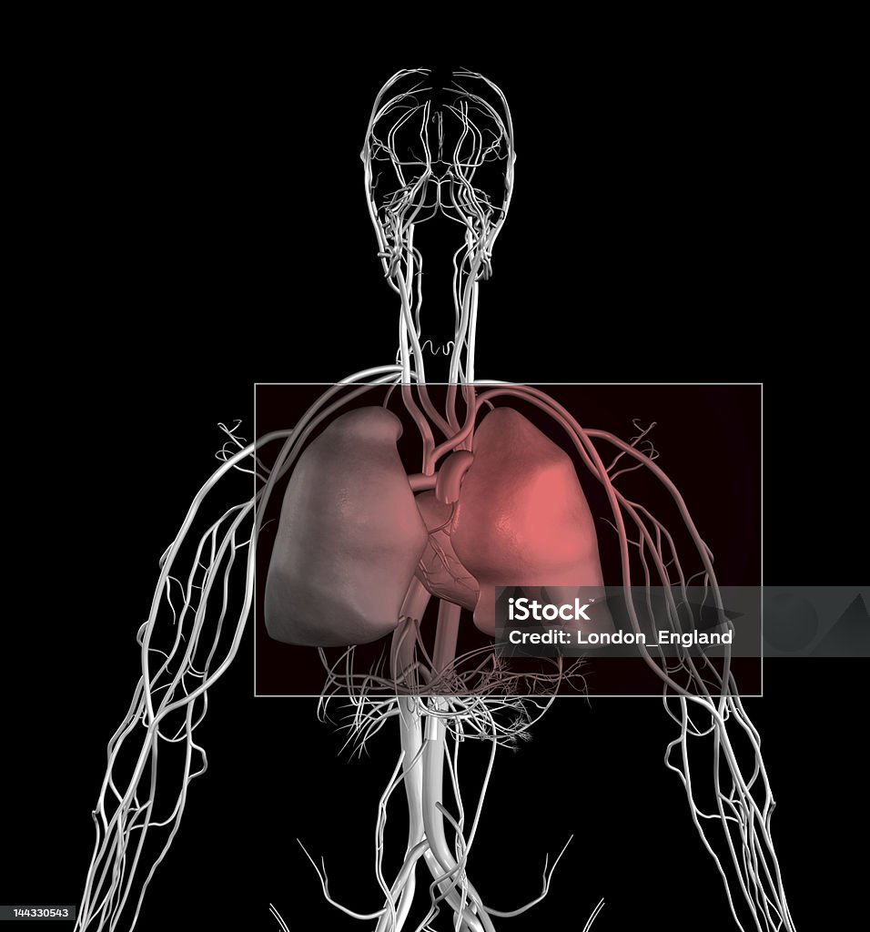 胸痛 - 3Dのロイヤリティフリーストックフォト