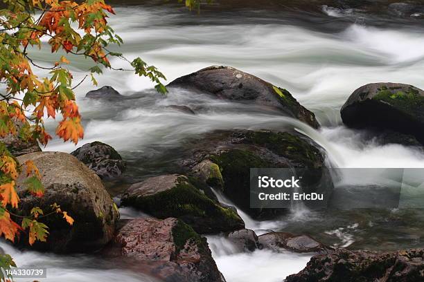 Autunno Dietro Langolo - Fotografie stock e altre immagini di A mezz'aria - A mezz'aria, Acqua, Albero