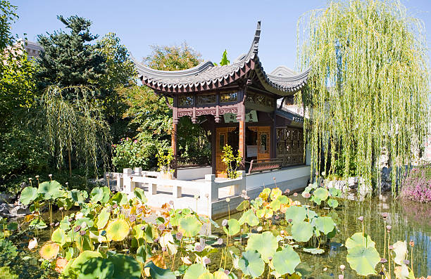 istock Traditional Chinese Tea house 144330904