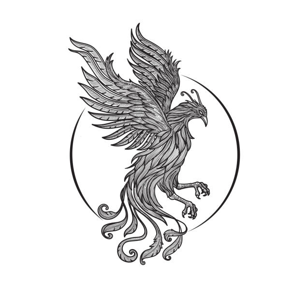 hand drawn Phoenix Fire bird illustration hand drawn Phoenix Fire bird illustration and character design pics of the firefighter free stock illustrations