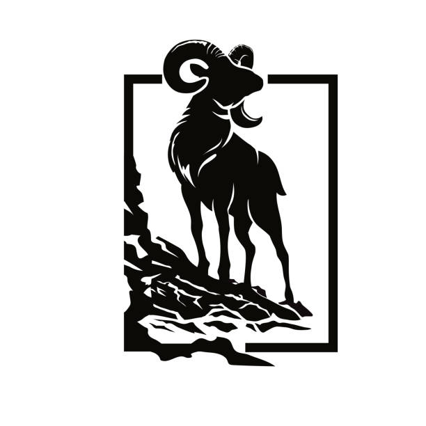 sylwetka owcy górskiej argali - baran stock illustrations