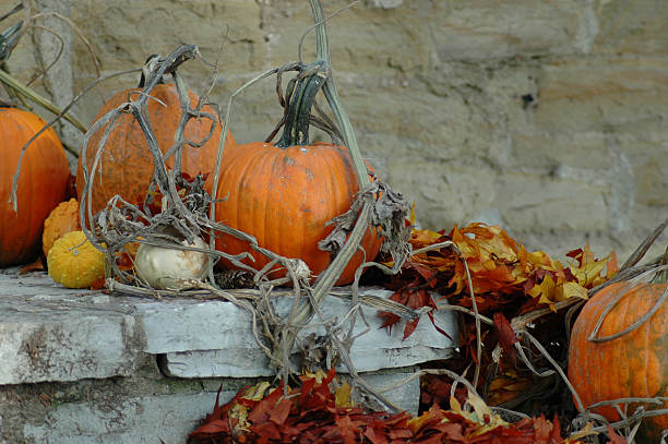 Affichage d'automne - Photo